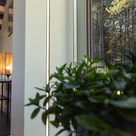 Wilga House * 皮拉