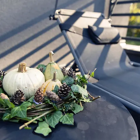 Wilga House Willa Piła